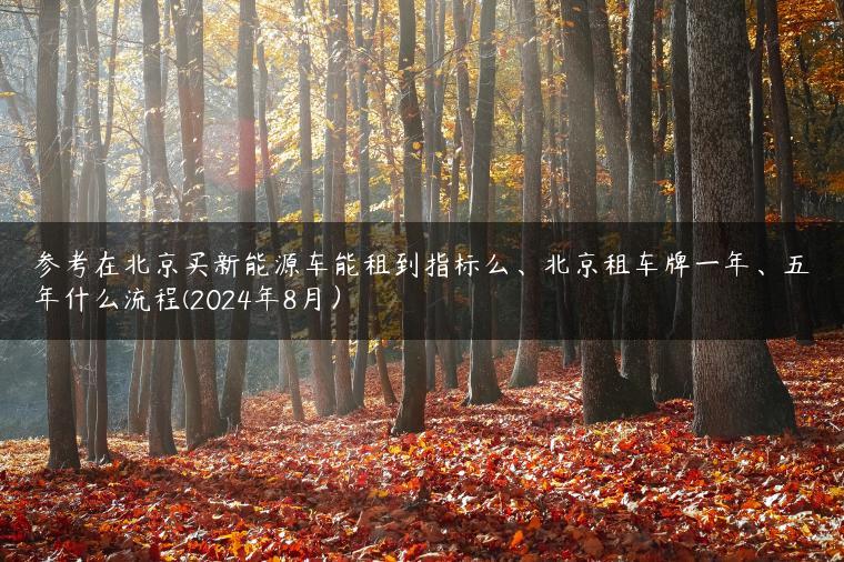 参考在北京买新能源车能租到指标么、北京租车牌一年、五年什么流程(2024年8月）