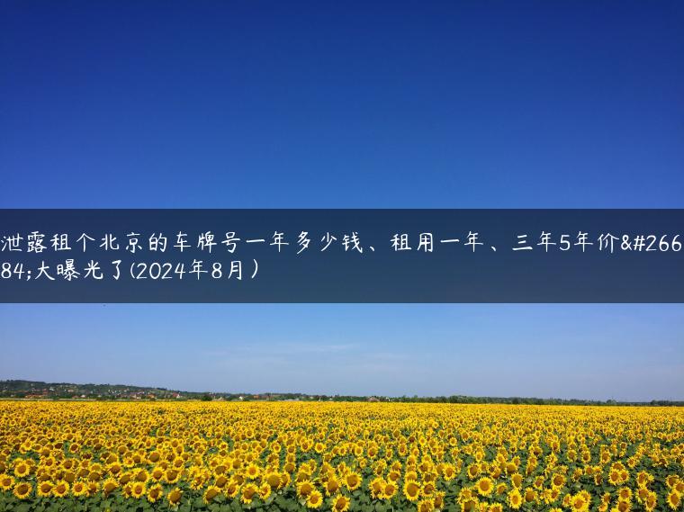 泄露租个北京的车牌号一年多少钱、租用一年、三年5年价格大曝光了(2024年8月）