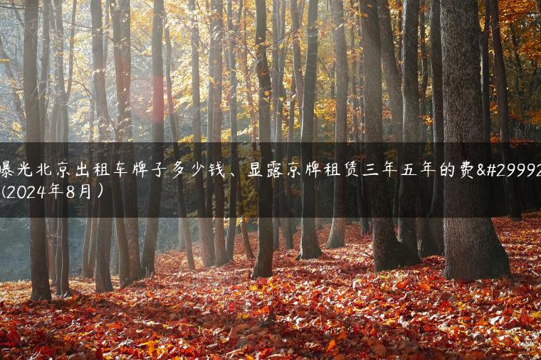 曝光北京出租车牌子多少钱、显露京牌租赁三年五年的费用(2024年8月）