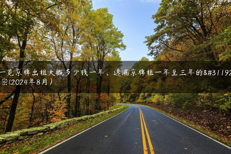 一览京牌出租大概多少钱一年、透漏京牌租一年至三年的秘密(2024年8月）