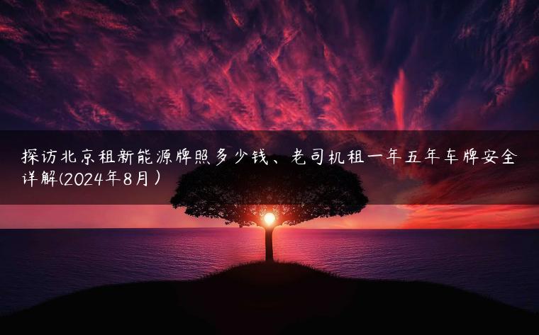 探访北京租新能源牌照多少钱、老司机租一年五年车牌安全详解(2024年8月）