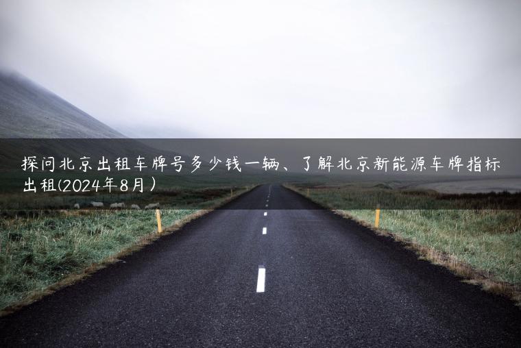探问北京出租车牌号多少钱一辆、了解北京新能源车牌指标出租(2024年8月）