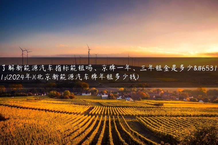 了解新能源汽车指标能租吗、京牌一年、三年租金是多少？(2024年)(北京新能源汽车牌年租多少钱)