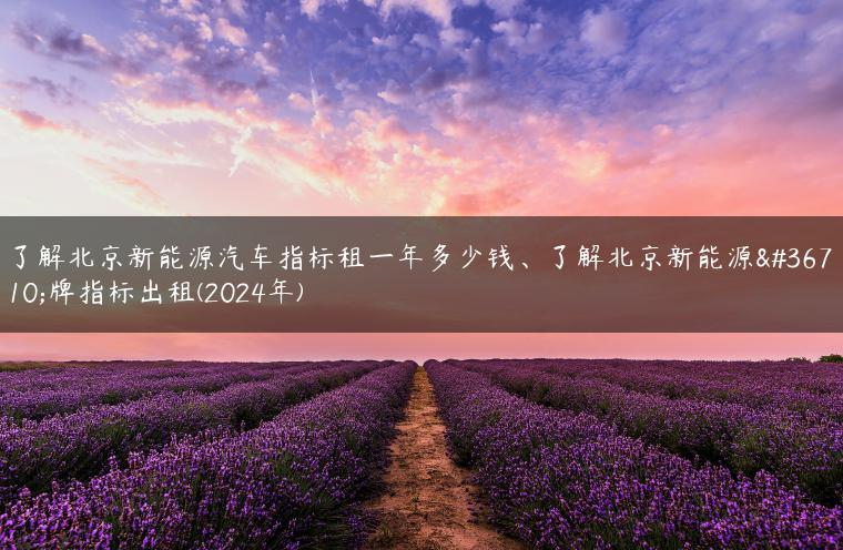 了解北京新能源汽车指标租一年多少钱、了解北京新能源车牌指标出租(2024年)