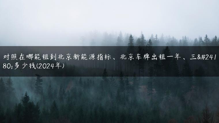 对照在哪能租到北京新能源指标、北京车牌出租一年、三年多少钱(2024年)
