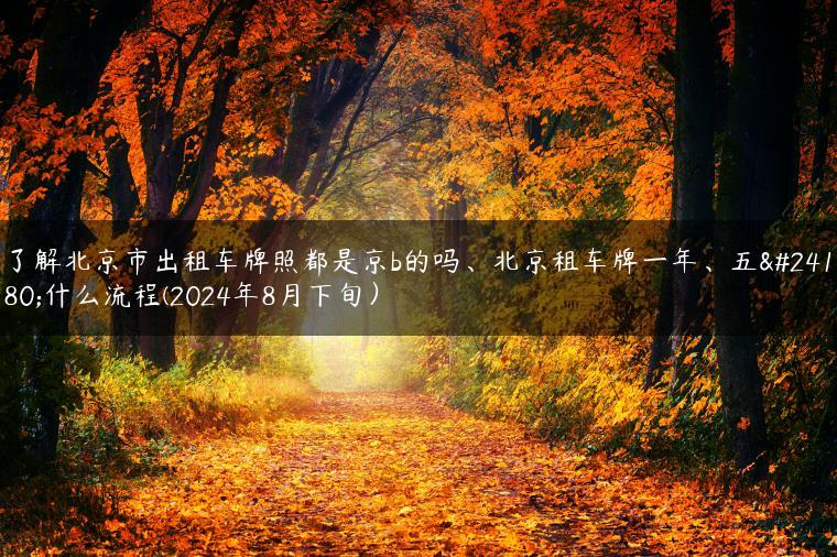 了解北京市出租车牌照都是京b的吗、北京租车牌一年、五年什么流程(2024年8月下旬）
