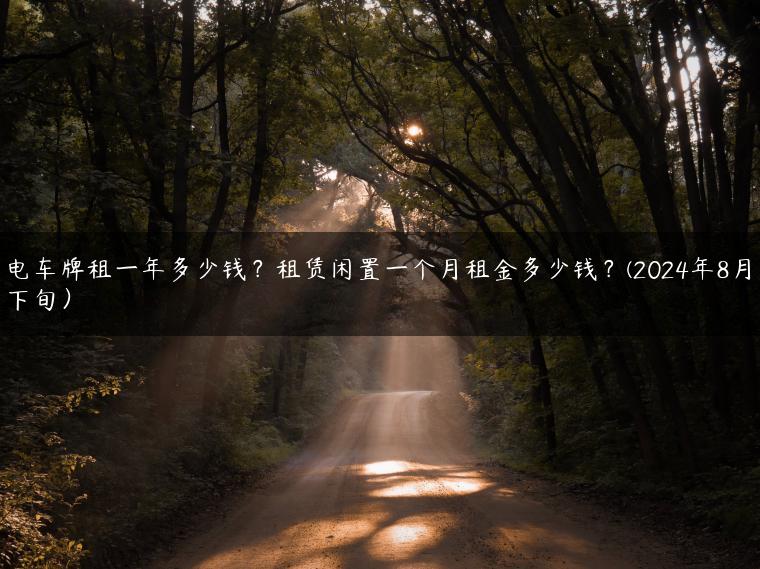 电车牌租一年多少钱？租赁闲置一个月租金多少钱？(2024年8月下旬）