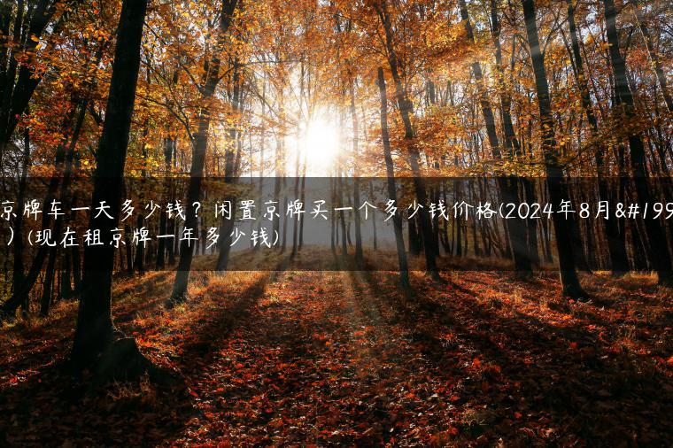 租京牌车一天多少钱？闲置京牌买一个多少钱价格(2024年8月下旬）(现在租京牌一年多少钱)-金牌车友