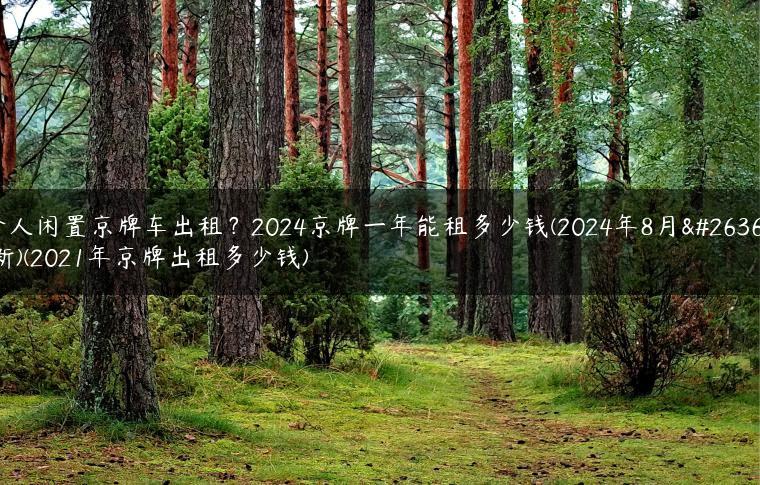 个人闲置京牌车出租？2024京牌一年能租多少钱(2024年8月最新)(2021年京牌出租多少钱)