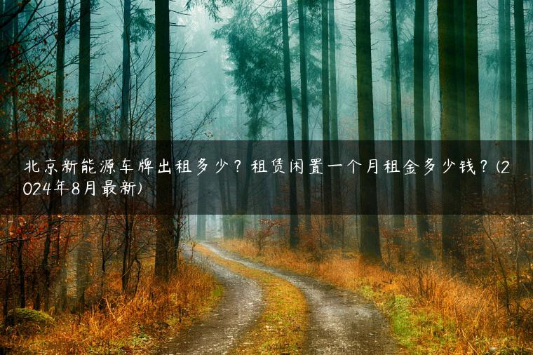 北京新能源车牌出租多少？租赁闲置一个月租金多少钱？(2024年8月最新)