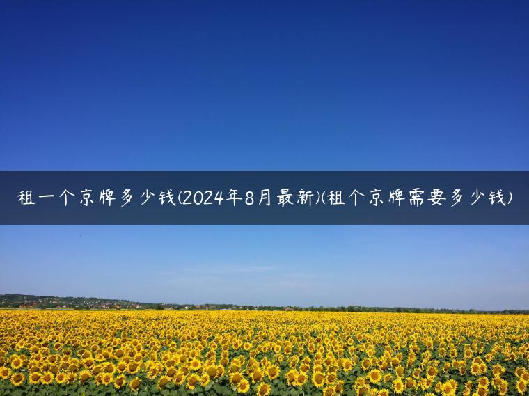 租一个京牌多少钱(2024年8月最新)(租个京牌需要多少钱)-金牌车友