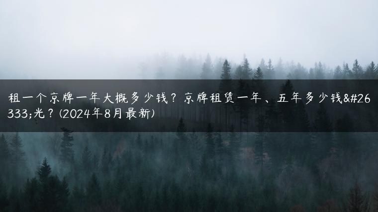 租一个京牌一年大概多少钱？京牌租赁一年、五年多少钱曝光？(2024年8月最新)