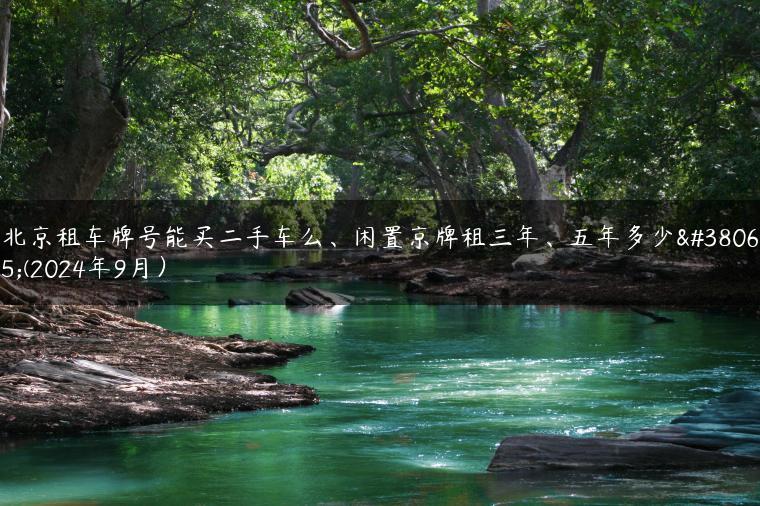 北京租车牌号能买二手车么、闲置京牌租三年、五年多少钱(2024年9月）