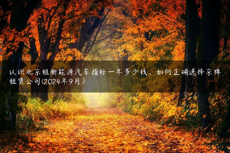 认识北京租新能源汽车指标一年多少钱、如何正确选择京牌租赁公司(2024年9月）