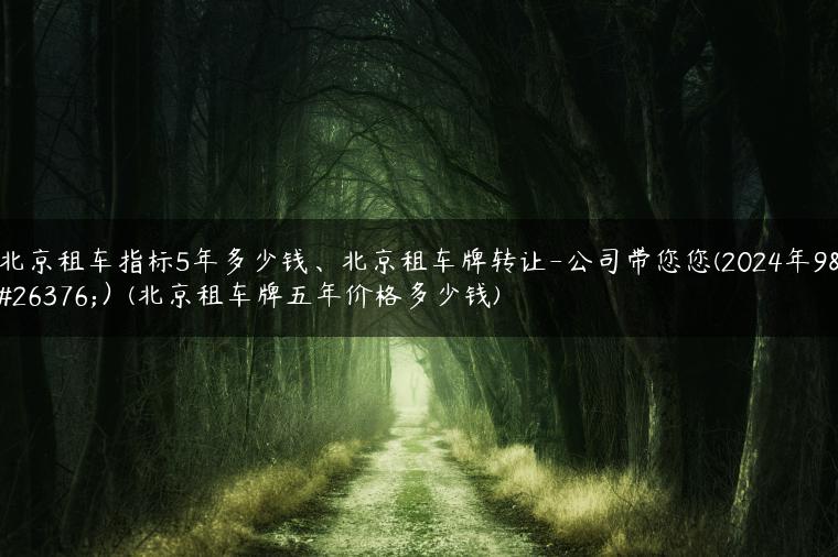 北京租车指标5年多少钱、北京租车牌转让-公司带您您(2024年9月）(北京租车牌五年价格多少钱)