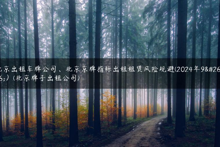 北京出租车牌公司、北京京牌指标出租租赁风险规避(2024年9月）(北京牌子出租公司)