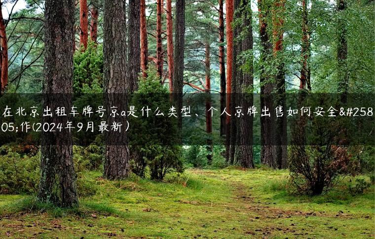 在北京出租车牌号京a是什么类型、个人京牌出售如何安全操作(2024年9月最新）-金牌车友