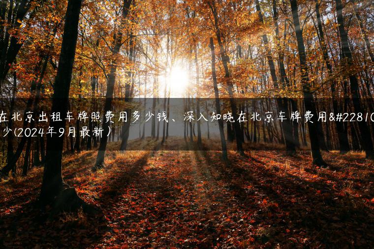 在北京出租车牌照费用多少钱、深入知晓在北京车牌费用多少(2024年9月最新）-金牌车友