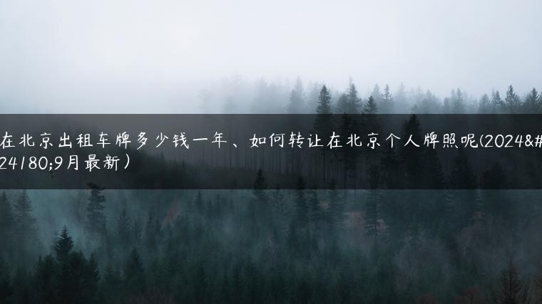 在北京出租车牌多少钱一年、如何转让在北京个人牌照呢(2024年9月最新）