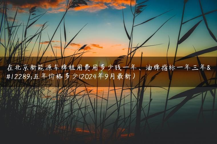在北京新能源车牌租用费用多少钱一年、油牌指标一年三年、五年价格多少(2024年9月最新）