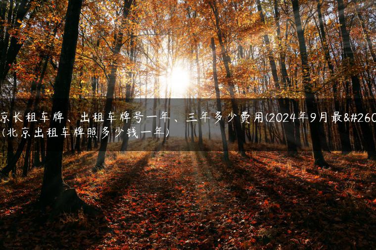 北京长租车牌、出租车牌号一年、三年多少费用(2024年9月最新）(北京出租车牌照多少钱一年)