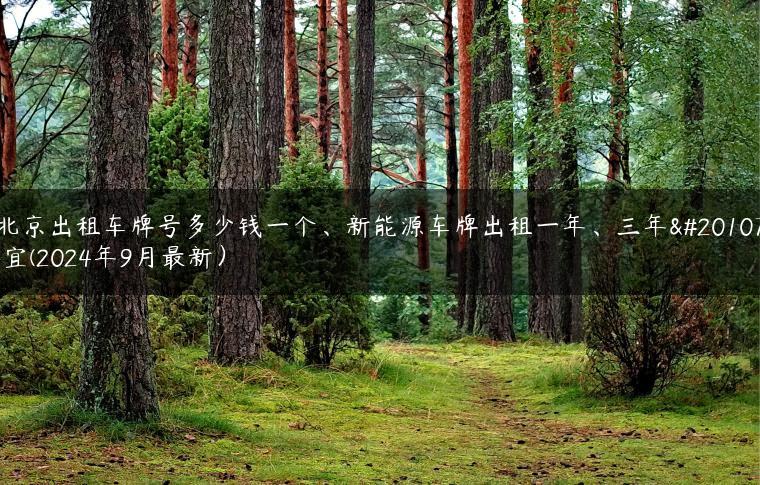 北京出租车牌号多少钱一个、新能源车牌出租一年、三年事宜(2024年9月最新）