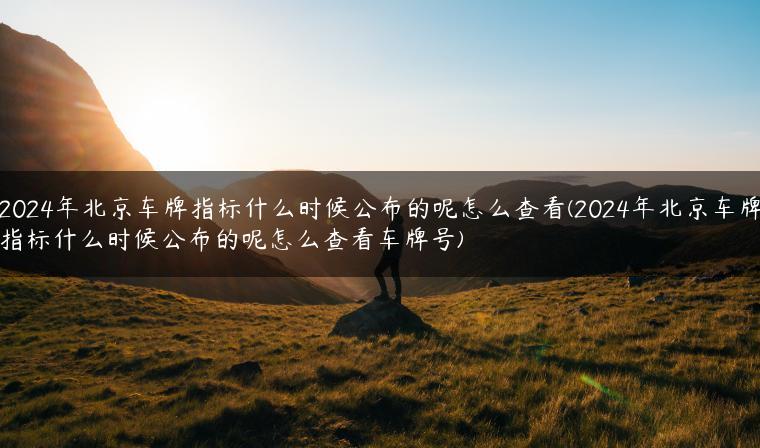 2024年北京车牌指标什么时候公布的呢怎么查看(2024年北京车牌指标什么时候公布的呢怎么查看车牌号)