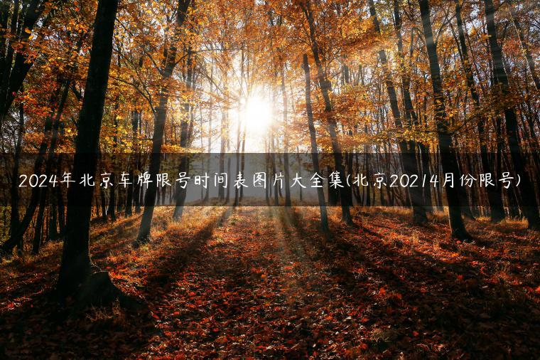 2024年北京车牌限号时间表图片大全集(北京20214月份限号)
