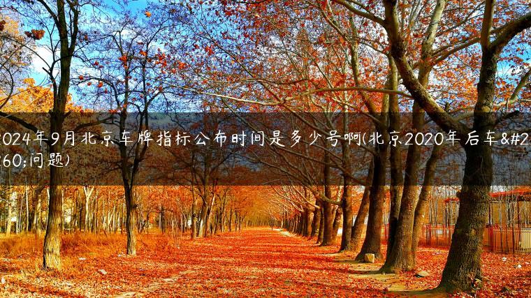 2024年9月北京车牌指标公布时间是多少号啊(北京2020年后车牌问题)