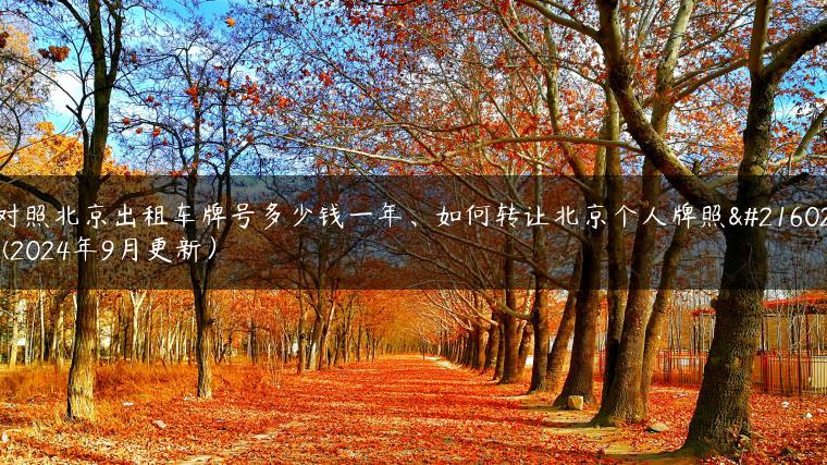 对照北京出租车牌号多少钱一年、如何转让北京个人牌照呢(2024年9月更新）