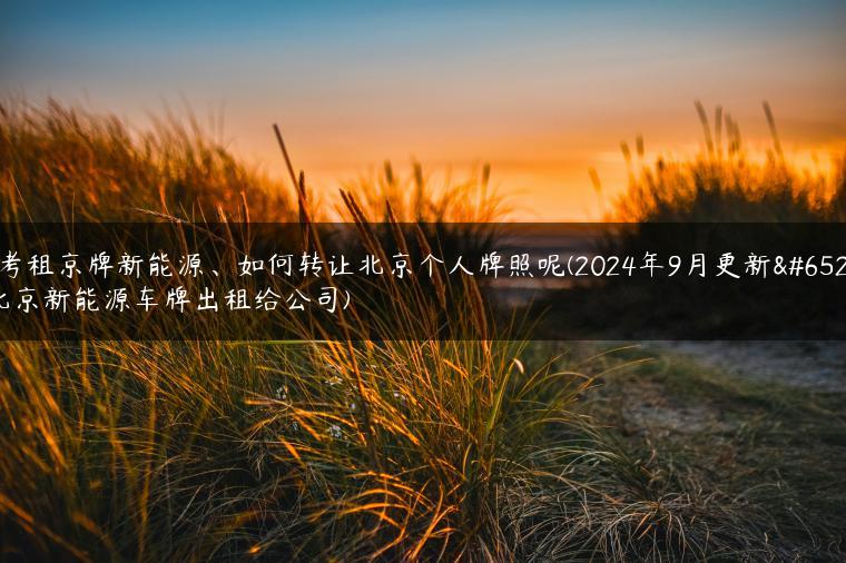 参考租京牌新能源、如何转让北京个人牌照呢(2024年9月更新）(北京新能源车牌出租给公司)