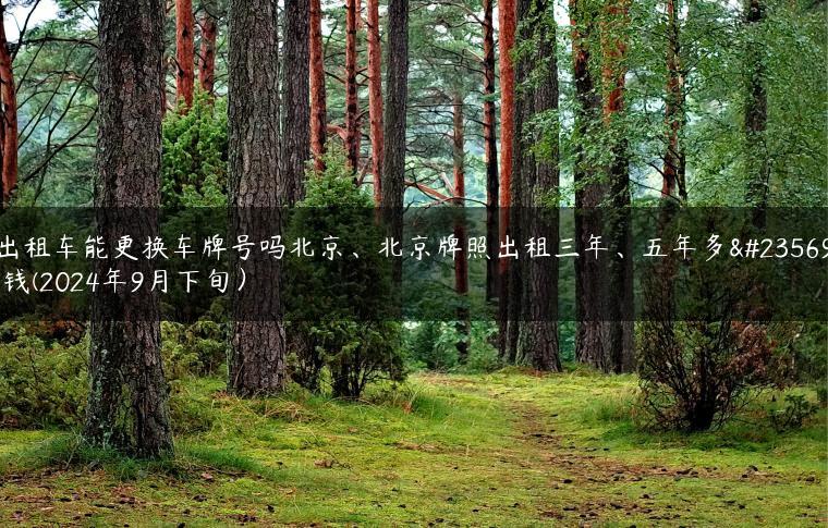 出租车能更换车牌号吗北京、北京牌照出租三年、五年多少钱(2024年9月下旬）