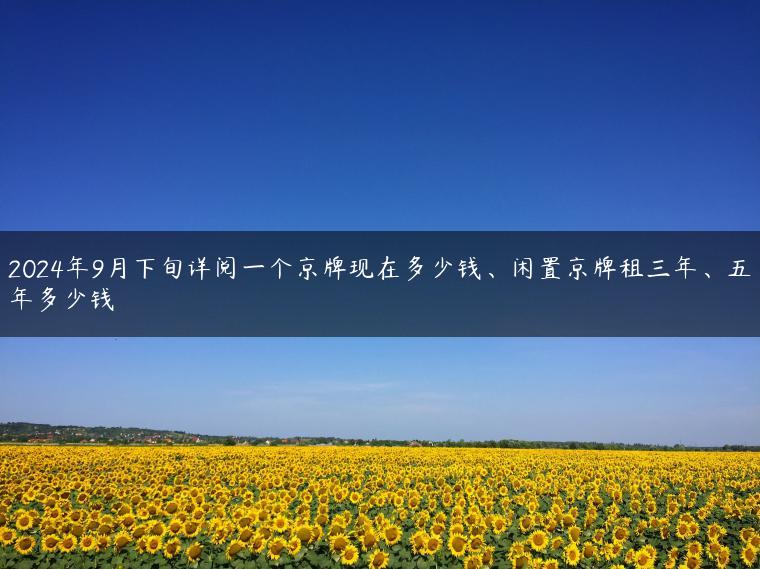2024年9月下旬详阅一个京牌现在多少钱、闲置京牌租三年、五年多少钱
