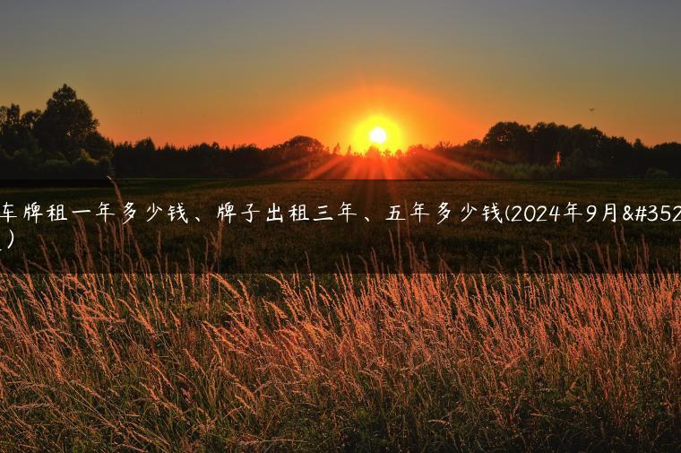 电车牌租一年多少钱、牌子出租三年、五年多少钱(2024年9月解读）