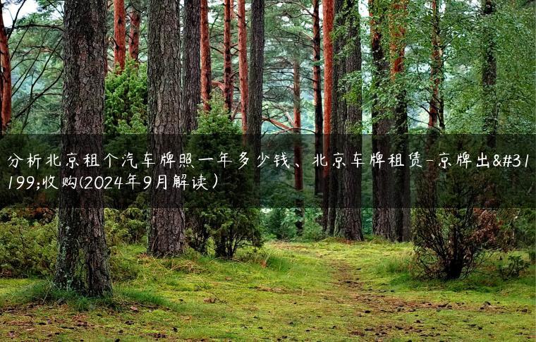 分析北京租个汽车牌照一年多少钱、北京车牌租赁-京牌出租收购(2024年9月解读）