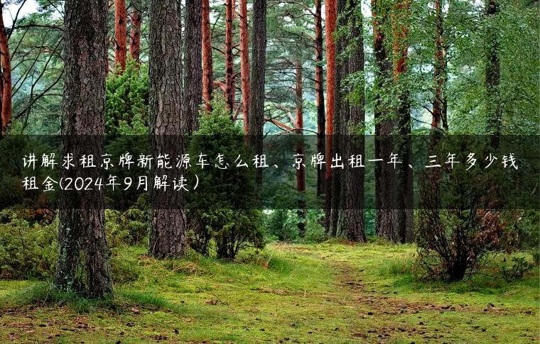讲解求租京牌新能源车怎么租、京牌出租一年、三年多少钱租金(2024年9月解读）