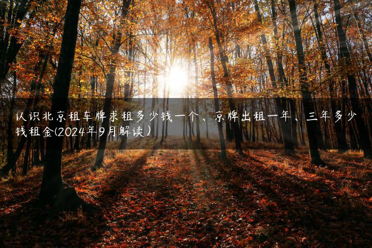 认识北京租车牌求租多少钱一个、京牌出租一年、三年多少钱租金(2024年9月解读）