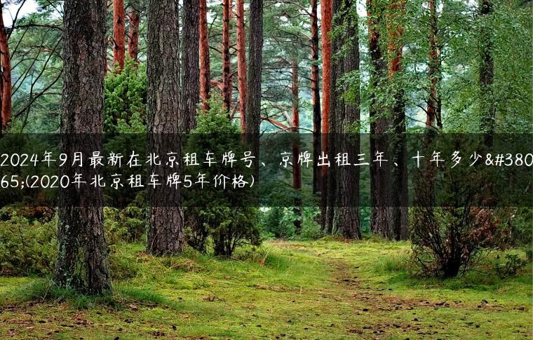 2024年9月最新在北京租车牌号、京牌出租三年、十年多少钱(2020年北京租车牌5年价格)