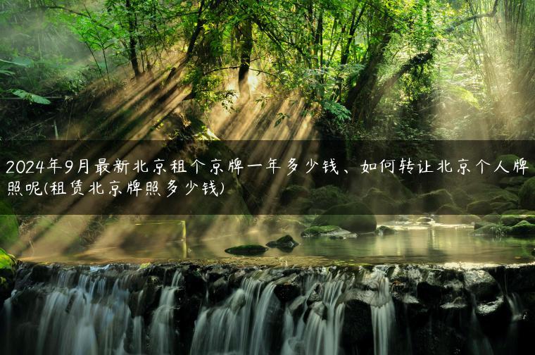 2024年9月最新北京租个京牌一年多少钱、如何转让北京个人牌照呢(租赁北京牌照多少钱)