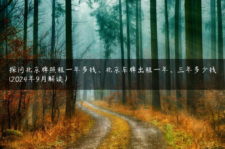 探问北京牌照租一年多钱、北京车牌出租一年、三年多少钱(2024年9月解读）