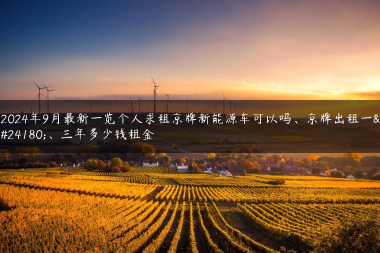 2024年9月最新一览个人求租京牌新能源车可以吗、京牌出租一年、三年多少钱租金