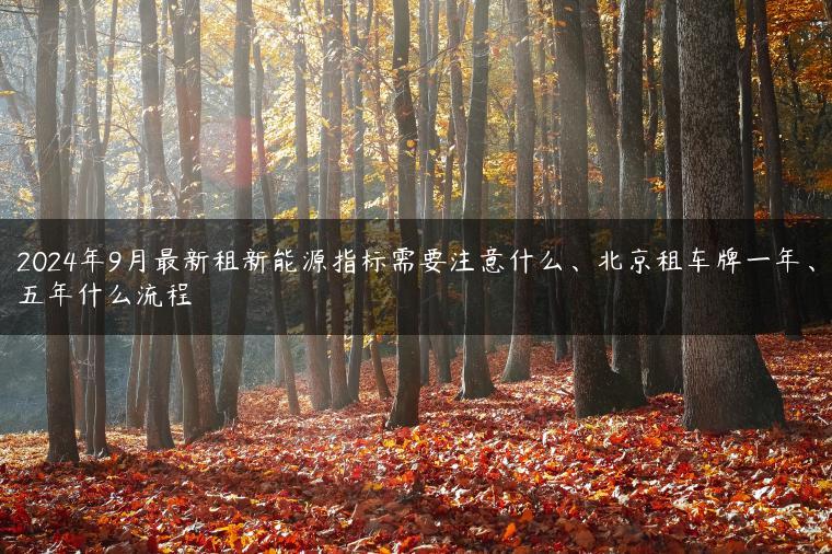 2024年9月最新租新能源指标需要注意什么、北京租车牌一年、五年什么流程