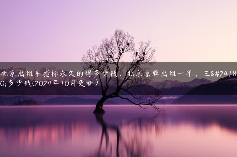 北京出租车指标永久的得多少钱、北京京牌出租一年、三年多少钱(2024年10月更新）