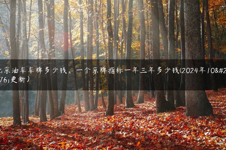 北京油车车牌多少钱、一个京牌指标一年三年多少钱(2024年10月更新）