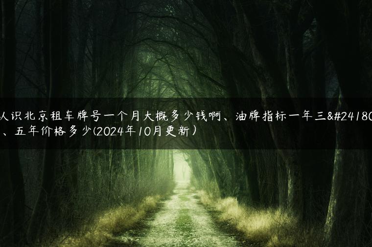 认识北京租车牌号一个月大概多少钱啊、油牌指标一年三年、五年价格多少(2024年10月更新）