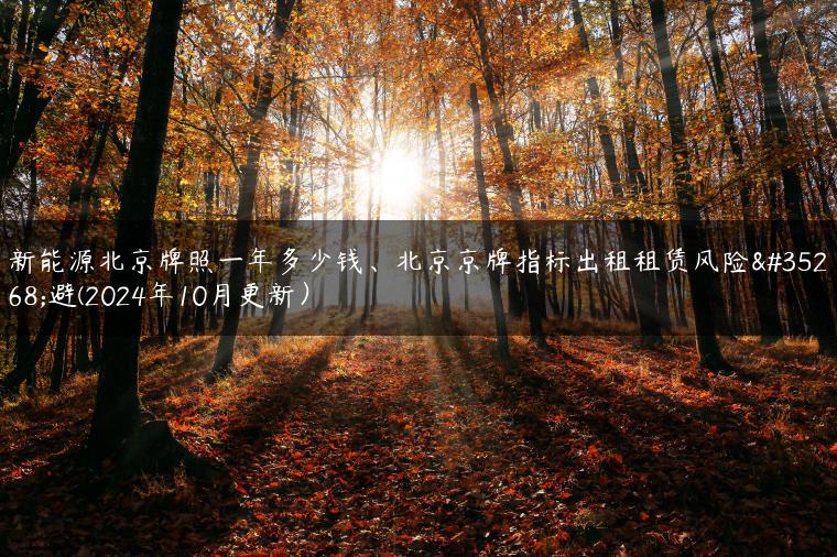 新能源北京牌照一年多少钱、北京京牌指标出租租赁风险规避(2024年10月更新）