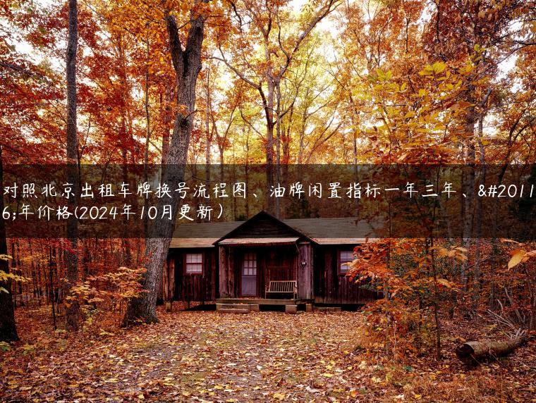 对照北京出租车牌换号流程图、油牌闲置指标一年三年、五年价格(2024年10月更新）