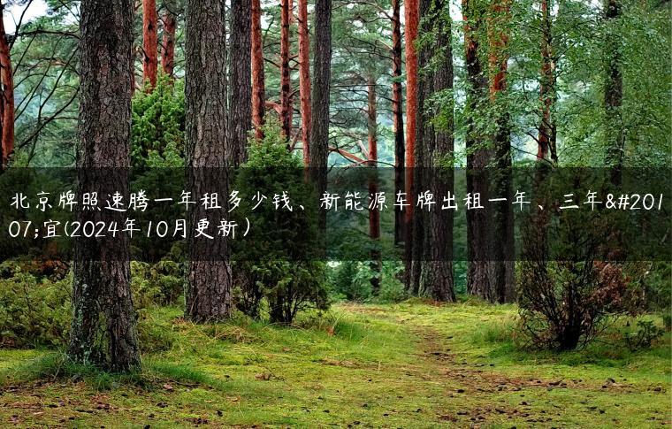 北京牌照速腾一年租多少钱、新能源车牌出租一年、三年事宜(2024年10月更新）