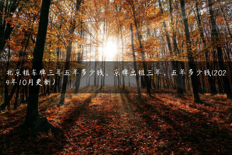 北京租车牌三年五年多少钱、京牌出租三年、五年多少钱(2024年10月更新）