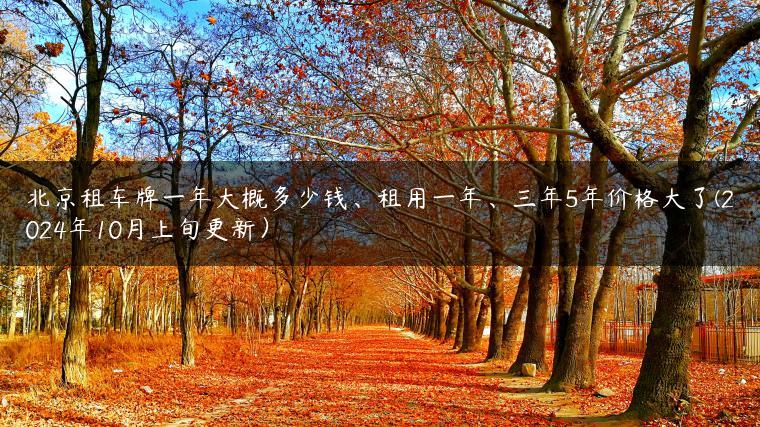 北京租车牌一年大概多少钱、租用一年、三年5年价格大了(2024年10月上旬更新）